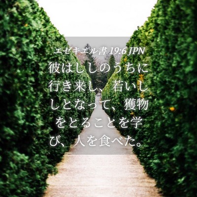 Picture 04 - エゼキエル書 19:6 JPN - 彼はししのうちに行き来し、若いし - Bible Verse Picture