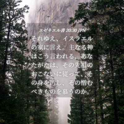 Picture 04 - エゼキエル書 20:30 JPN - それゆえ、イスラエルの家に言え。 - Bible Verse Picture