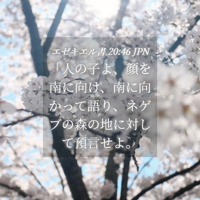 Picture 04 - エゼキエル書 20:46 JPN - 「人の子よ、顔を南に向け、南に向 - Bible Verse Picture