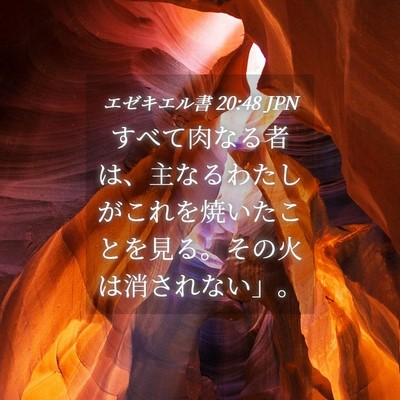Picture 04 - エゼキエル書 20:48 JPN - すべて肉なる者は、主なるわたしが - Bible Verse Picture