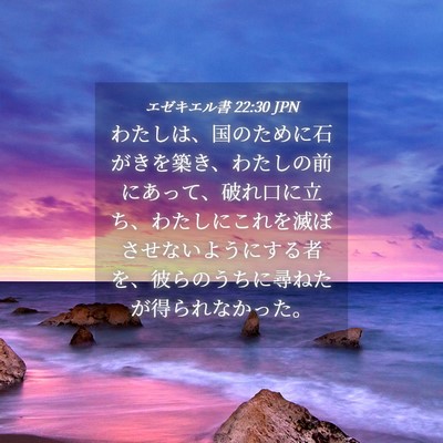 Picture 04 - エゼキエル書 22:30 JPN - わたしは、国のために石がきを築き - Bible Verse Picture