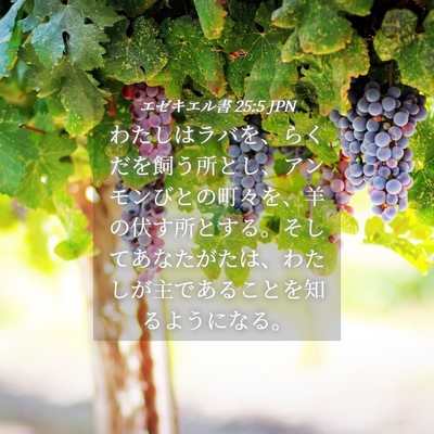 Picture 04 - エゼキエル書 25:5 JPN - わたしはラバを、らくだを飼う所と - Bible Verse Picture