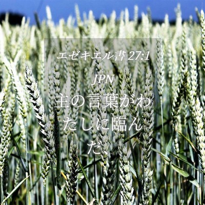 Picture 04 - エゼキエル書 27:1 JPN - 主の言葉がわたしに臨んだ、 - Bible Verse Picture