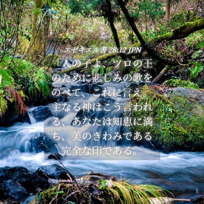 Picture 04 - エゼキエル書 28:12 JPN - 「人の子よ、ツロの王のために悲し - Bible Verse Picture