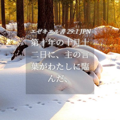Picture 04 - エゼキエル書 29:1 JPN - 第十年の十月十二日に、主の言葉が - Bible Verse Picture