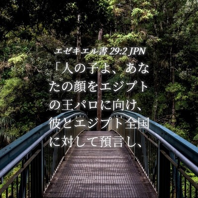 Picture 04 - エゼキエル書 29:2 JPN - 「人の子よ、あなたの顔をエジプト - Bible Verse Picture