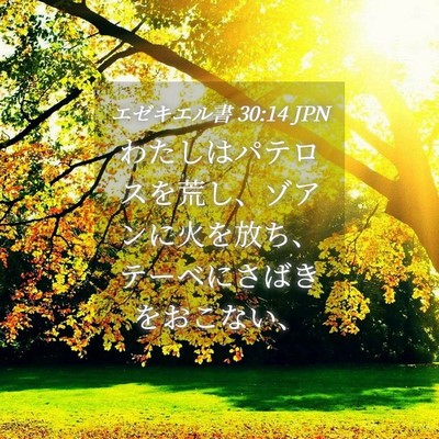 Picture 04 - エゼキエル書 30:14 JPN - わたしはパテロスを荒し、ゾアンに - Bible Verse Picture
