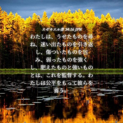 Picture 04 - エゼキエル書 34:16 JPN - わたしは、うせたものを尋ね、迷い - Bible Verse Picture