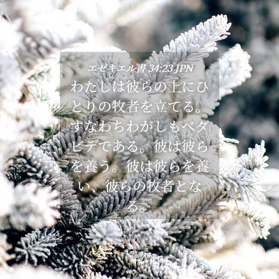 Picture 04 - エゼキエル書 34:23 JPN - わたしは彼らの上にひとりの牧者を - Bible Verse Picture