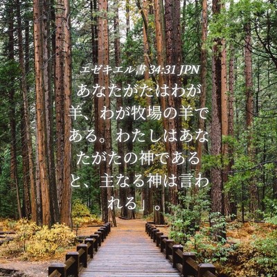 Picture 04 - エゼキエル書 34:31 JPN - あなたがたはわが羊、わが牧場の羊 - Bible Verse Picture