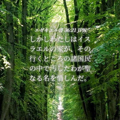 Picture 04 - エゼキエル書 36:21 JPN - しかしわたしはイスラエルの家が、 - Bible Verse Picture