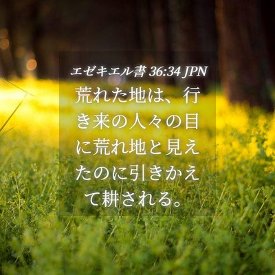 Picture 04 - エゼキエル書 36:34 JPN - 荒れた地は、行き来の人々の目に荒 - Bible Verse Picture