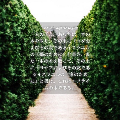 Picture 04 - エゼキエル書 37:16 JPN - 「人の子よ、あなたは一本の木を取 - Bible Verse Picture