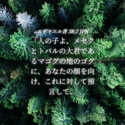 Picture 04 - エゼキエル書 38:2 JPN - 「人の子よ、メセクとトバルの大君 - Bible Verse Picture