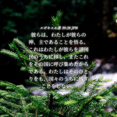 Picture 04 - エゼキエル書 39:28 JPN - 彼らは、わたしが彼らの神、主であ - Bible Verse Picture