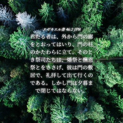 Picture 04 - エゼキエル書 46:2 JPN - 君たる者は、外から門の廊をとおっ - Bible Verse Picture