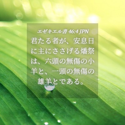 Picture 04 - エゼキエル書 46:4 JPN - 君たる者が、安息日に主にささげる - Bible Verse Picture