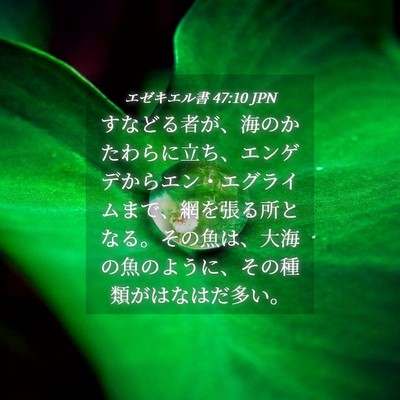 Picture 04 - エゼキエル書 47:10 JPN - すなどる者が、海のかたわらに立ち - Bible Verse Picture