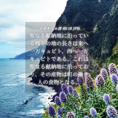 Picture 04 - エゼキエル書 48:18 JPN - 聖なる献納地に沿っている残りの地 - Bible Verse Picture