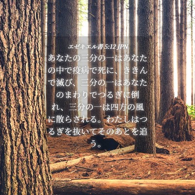 Picture 04 - エゼキエル書 5:12 JPN - あなたの三分の一はあなたの中で疫 - Bible Verse Picture