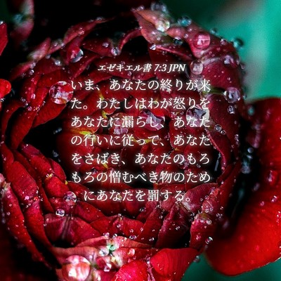 Picture 04 - エゼキエル書 7:3 JPN - いま、あなたの終りが来た。わたし - Bible Verse Picture