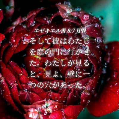 Picture 04 - エゼキエル書 8:7 JPN - そして彼はわたしを庭の門に行かせ - Bible Verse Picture