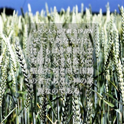 Picture 04 - エペソ人への手紙 2:19 JPN - そこであなたがたは、もはや異国人 - Bible Verse Picture