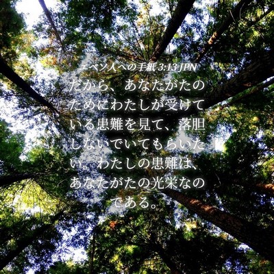 Picture 04 - エペソ人への手紙 3:13 JPN - だから、あなたがたのためにわたし - Bible Verse Picture