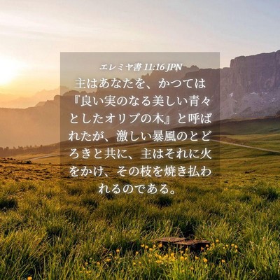 Picture 04 - エレミヤ書 11:16 JPN - 主はあなたを、かつては『良い実の - Bible Verse Picture