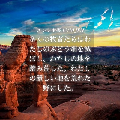 Picture 04 - エレミヤ書 12:10 JPN - 多くの牧者たちはわたしのぶどう畑 - Bible Verse Picture