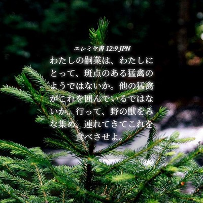 Picture 04 - エレミヤ書 12:9 JPN - わたしの嗣業は、わたしにとって、 - Bible Verse Picture