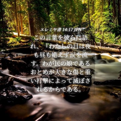 Picture 04 - エレミヤ書 14:17 JPN - この言葉を彼らに語れ、『わたしの - Bible Verse Picture