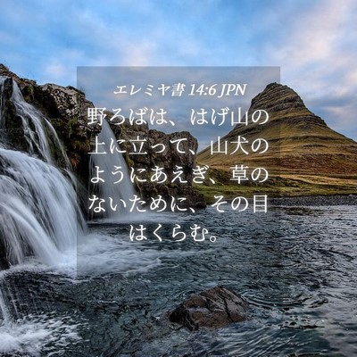 Picture 04 - エレミヤ書 14:6 JPN - 野ろばは、はげ山の上に立って、山 - Bible Verse Picture