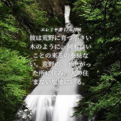 Picture 04 - エレミヤ書 17:6 JPN - 彼は荒野に育つ小さい木のように、 - Bible Verse Picture