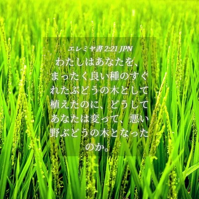 Picture 04 - エレミヤ書 2:21 JPN - わたしはあなたを、まったく良い種 - Bible Verse Picture