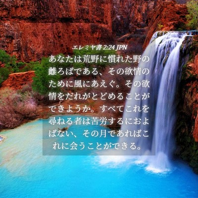 Picture 04 - エレミヤ書 2:24 JPN - あなたは荒野に慣れた野の雌ろばで - Bible Verse Picture