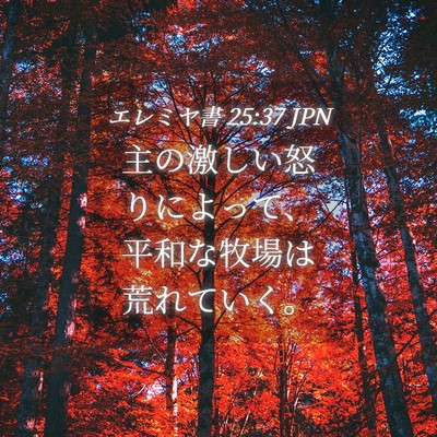 Picture 04 - エレミヤ書 25:37 JPN - 主の激しい怒りによって、平和な牧 - Bible Verse Picture