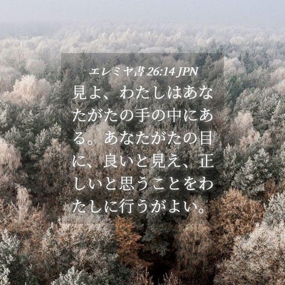 Picture 04 - エレミヤ書 26:14 JPN - 見よ、わたしはあなたがたの手の中 - Bible Verse Picture