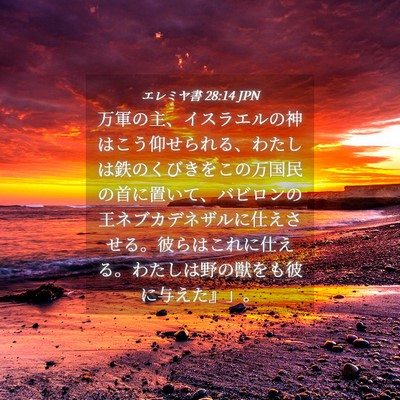 Picture 04 - エレミヤ書 28:14 JPN - 万軍の主、イスラエルの神はこう仰 - Bible Verse Picture