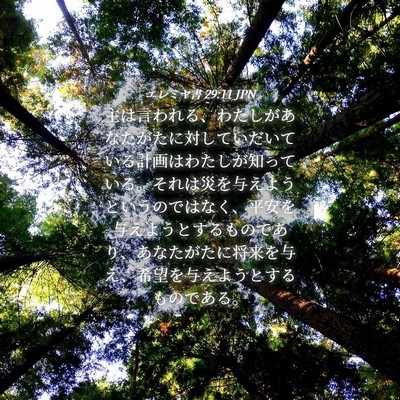 Picture 04 - エレミヤ書 29:11 JPN - 主は言われる、わたしがあなたがた - Bible Verse Picture