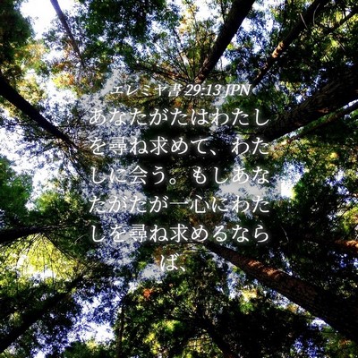 Picture 04 - エレミヤ書 29:13 JPN - あなたがたはわたしを尋ね求めて、 - Bible Verse Picture