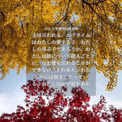 Picture 04 - エレミヤ書 31:20 JPN - 主は言われる、エフライムはわたし - Bible Verse Picture