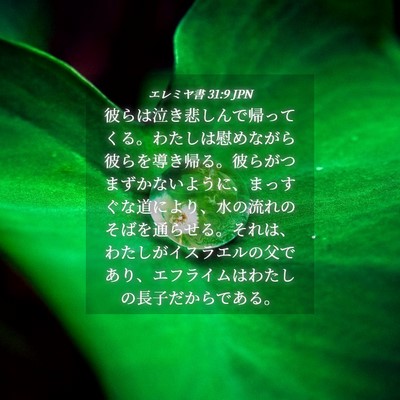 Picture 04 - エレミヤ書 31:9 JPN - 彼らは泣き悲しんで帰ってくる。わ - Bible Verse Picture