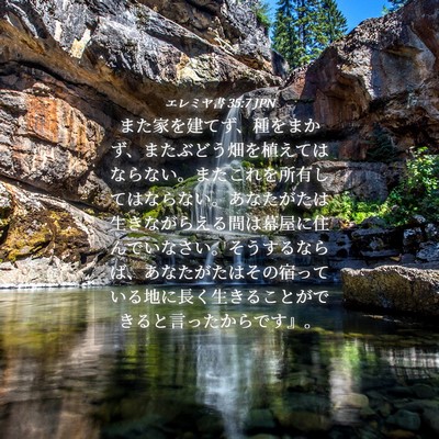 Picture 04 - エレミヤ書 35:7 JPN - また家を建てず、種をまかず、また - Bible Verse Picture