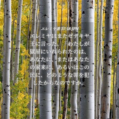 Picture 04 - エレミヤ書 37:18 JPN - エレミヤはまたゼデキヤ王に言った - Bible Verse Picture