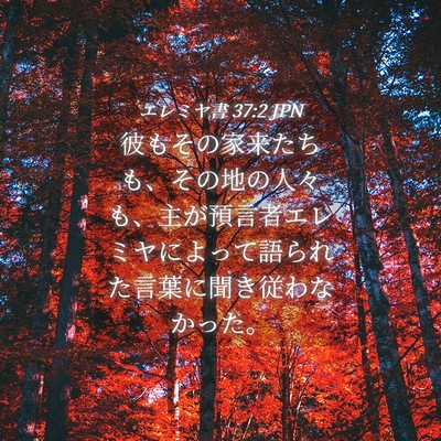 Picture 04 - エレミヤ書 37:2 JPN - 彼もその家来たちも、その地の人々 - Bible Verse Picture