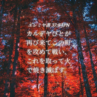 Picture 04 - エレミヤ書 37:8 JPN - カルデヤびとが再び来てこの町を攻 - Bible Verse Picture