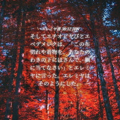 Picture 04 - エレミヤ書 38:12 JPN - そしてエチオピヤびとエベデメレク - Bible Verse Picture