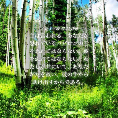 Picture 04 - エレミヤ書 42:11 JPN - 主は言われる、あなたが恐れている - Bible Verse Picture