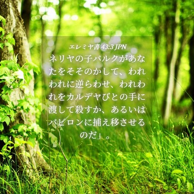 Picture 04 - エレミヤ書 43:3 JPN - ネリヤの子バルクがあなたをそその - Bible Verse Picture